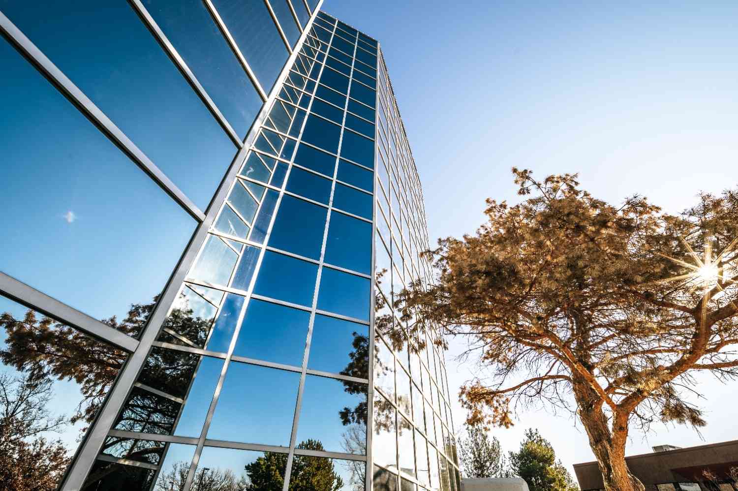 Single tenant commercial building leased under a triple net lease