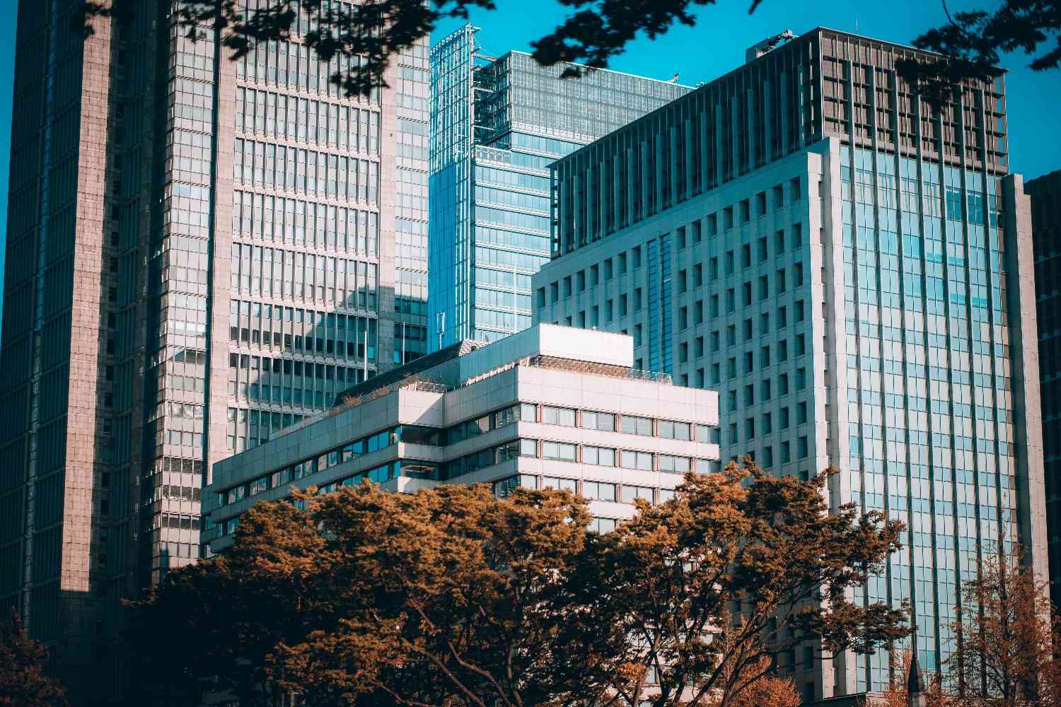 Commercial buildings in an urban setting