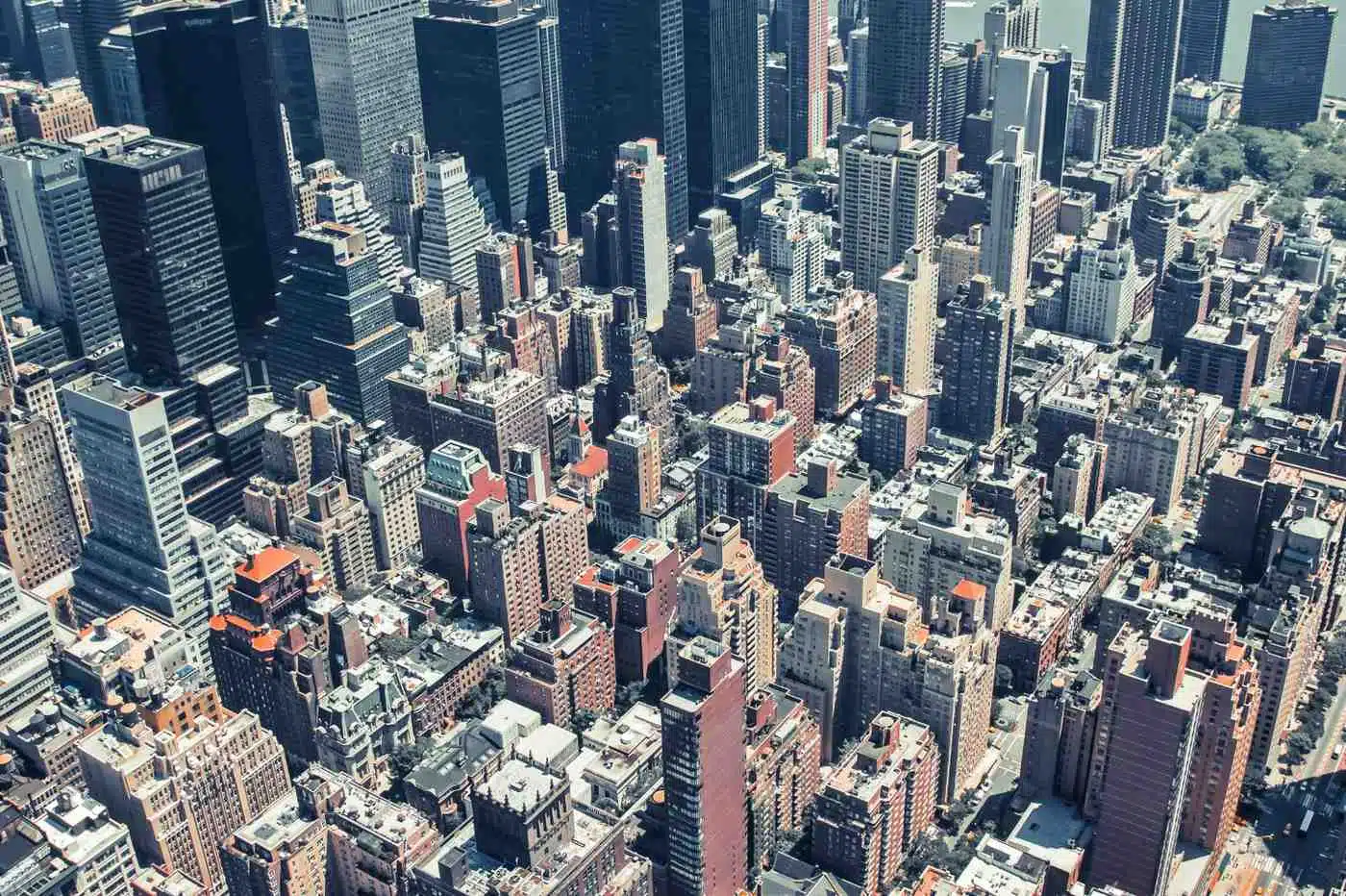 Commercial buildings lining a city street